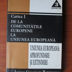 Iordan Gheorghe Barbulescu - De la comunitatile europene la Uniunea Europeana