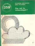 Cine esti tu, meteorologule? - Ecaterina Ion-Bordei