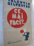 Ce mai faci ? - Valentin Silvestru