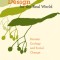 Design for the Real World: Human Ecology and Social Change
