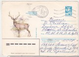 bnk ip URSS 1983 - fauna - cerb - circulat spre Romania