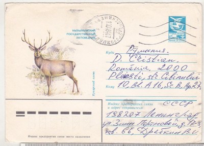 bnk ip URSS 1983 - fauna - cerb - circulat spre Romania foto