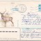 bnk ip URSS 1983 - fauna - cerb - circulat spre Romania