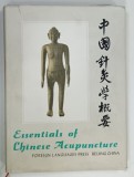 ESSENTIALS OF CHINESE ACUPUNCTURE , 1980