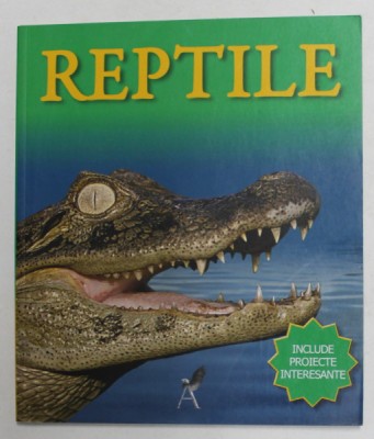 REPTILE de BELINDA WEBER ,2008 foto