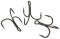 Foto  - 1