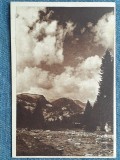 457 - Bucegi - Valea Ialomitei / Poiana Tapului carte postala RPR circulata 1951, Necirculata, Fotografie