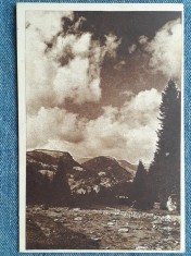 457 - Bucegi - Valea Ialomitei / Poiana Tapului carte postala RPR circulata 1951