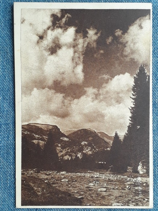457 - Bucegi - Valea Ialomitei / Poiana Tapului carte postala RPR circulata 1951