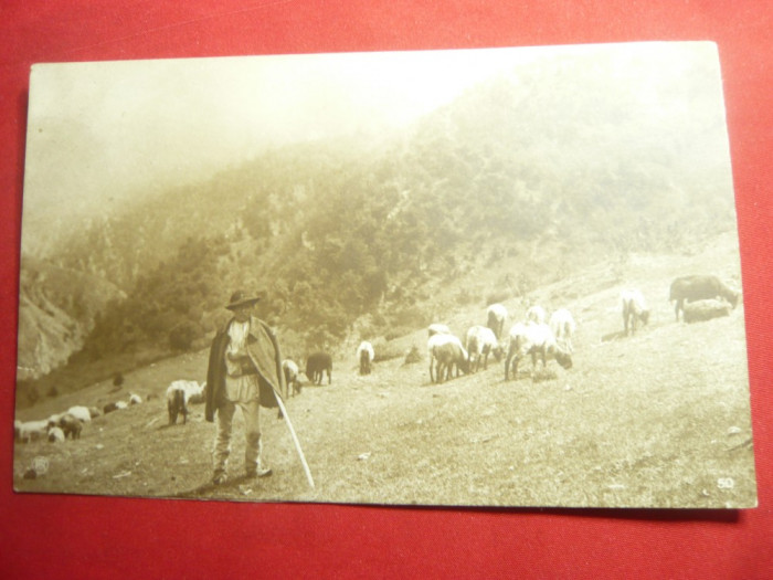 Ilustrata - Folclor- Cioban cu oile -circ.1940 Cartea Romaneasca
