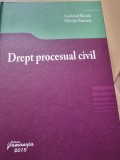 Drept procesual civil - Gabriel Boroi , Mirela Stancu