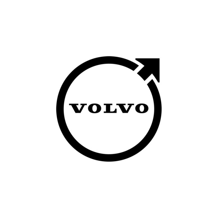 VOLVO 31392924 Ulei motor 0W-20 VCC-RBS0-2AE 4L