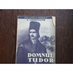 DOMNUL TUDOR - C. ARDELEANU foto