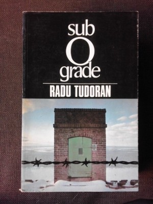 SUB 0 GRADE - RADU TUDORAN foto