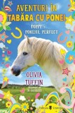 Aventuri in tabara cu ponei. Poppy si poneiul perfect - Olivia Tuffin - Univers