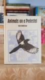 Cumpara ieftin Animals on a Pedestal - Yuri Dmitriyev carte 1990
