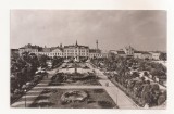 RF104 - Carte Postala - Satu Mare. Piata Libertatii, circulata 1968