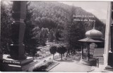 Slanic-Moldova. Vedere din Parc (necirculata)