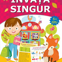 Invata singur. Carte de activitati +6 ani