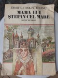 Mama lui Stefan cel Mare, Dimitrie Bolintineanu, 1984, 16 PAG, starea fb, Alb, L