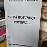 Dupa Bucuresti, potopul... - Mircea Constantinescu