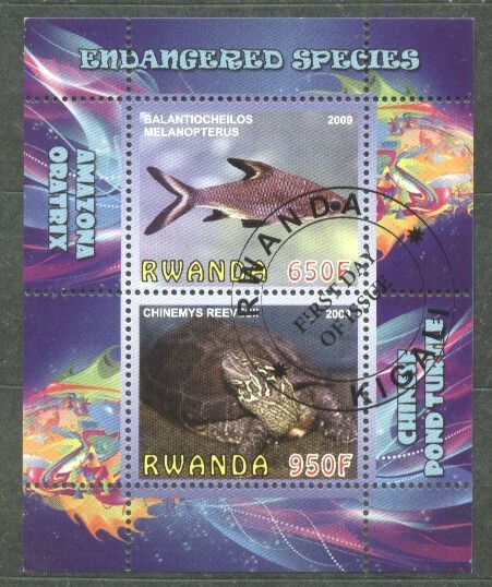 Rwanda 2009 Fishes, perf.sheetlet, used T.027