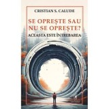 Se opreste sau nu se opreste? Aceasta este intrebarea - Cristian S. Calude