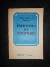 TUDOR TEODORESCU BRANISTE - PAVILIONUL DE VANATOARE foto