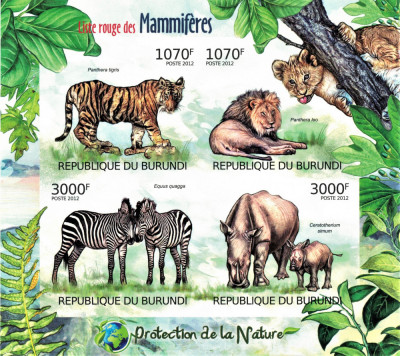 BURUNDI 2012 - Fauna, mamifere protejate/ set complet - colita + bloc MNH foto