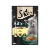 Hrana umeda pentru pisici Sheba, junior, carne de pui, in sos, 85 g