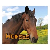 Horses (Pebble Plus: Farm Animals)