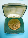 5278-Medalia Plexycca Mousty Didier- 1981-1986 BRONZ.