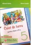 Limba si literatura romana. Caiet de lucru pentru clasa a V-a