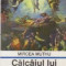 Calcaiul lui Delacroix - Interferente culturale