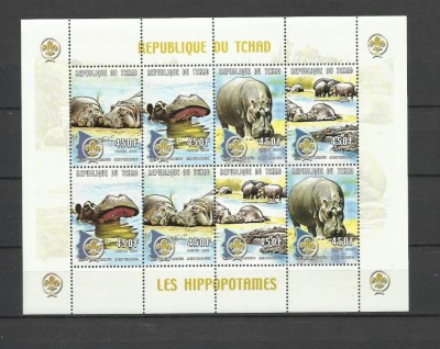CHAD 2000 FAUNA ANIMALE SALBATICE HIPOPOTAMI foto