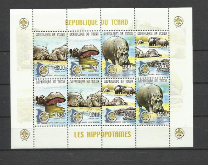 CHAD 2000 FAUNA ANIMALE SALBATICE HIPOPOTAMI