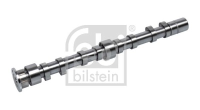 FEBI BILSTEIN 176004 Ax cu came foto
