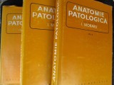 Anatomie patologica 3 volume-I.Moraru