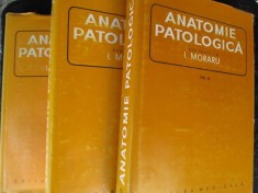 Anatomie patologica 3 volume-I.Moraru foto