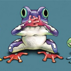 Semn de carte 3D - No Evil Frogs - ***