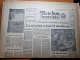 Scanteia tineretului 23 octombrie 1964-orasul craiova,resita,jocurile olimpice