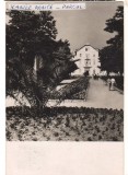 CPIB 22042 - CARTE POSTALA - VASILE ROAITA. VEDERE DIN PARC, RPR, 1957