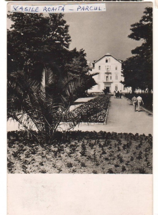 CPIB 22042 - CARTE POSTALA - VASILE ROAITA. VEDERE DIN PARC, RPR, 1957