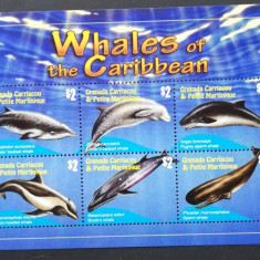 GRENADA C &PM. - Balene din Caraibe - FAUNA, 6 V. IN 1 M/SH, NEOB. - GG 011