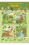Cumpara ieftin Plansa: Fauna si flora din padure