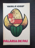 PALARIA DE PAI - Vasile Iosif