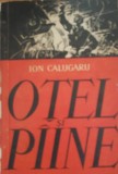 Ion Calugaru - Otel si P&acirc;ine+Trustul+Casa Soarecilor
