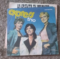 Vinil 1 Vinyl Electrecord Expres Trio foto