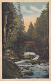 Baile Slanic-Moldova. Cascada vazuta din dreapta (1936, necirculata)