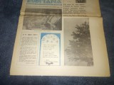 Cumpara ieftin REVISTA POLITIA ROMANA NR 44 45 1990